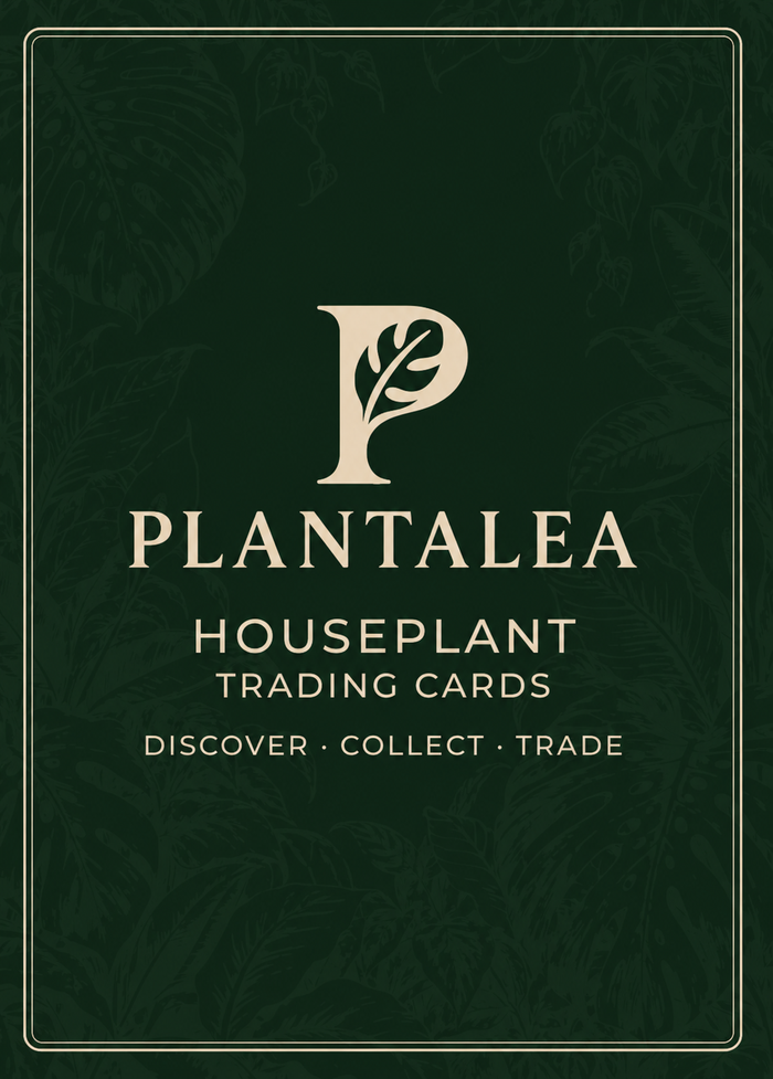 Plantalea card back