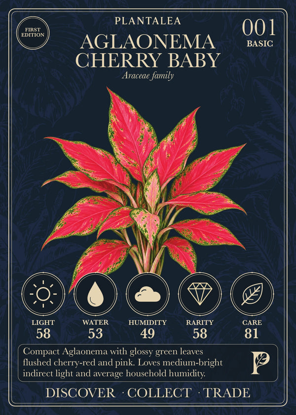 View card 001