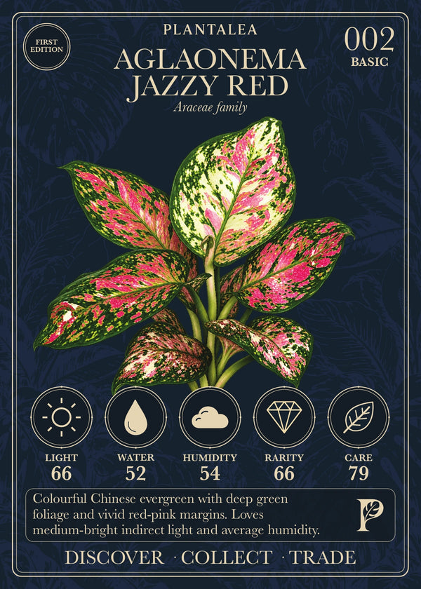 View card 002