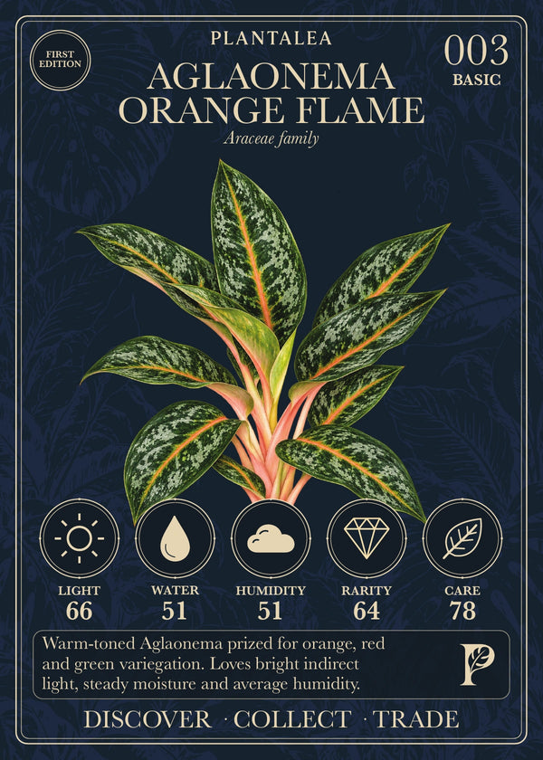 View card 003
