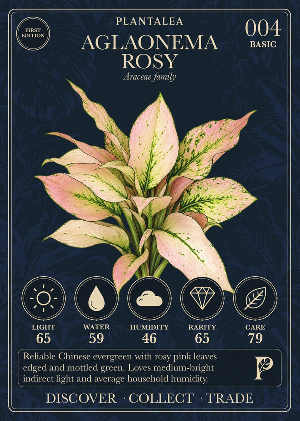 View card 004