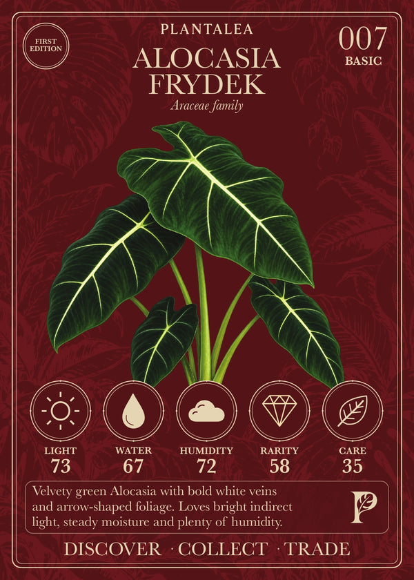 View card 007