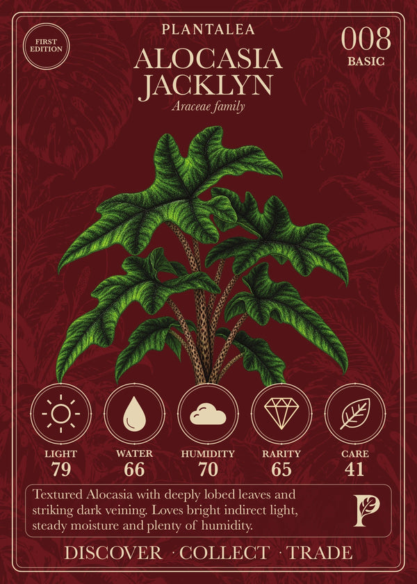 View card 008