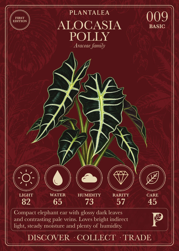 View card 009
