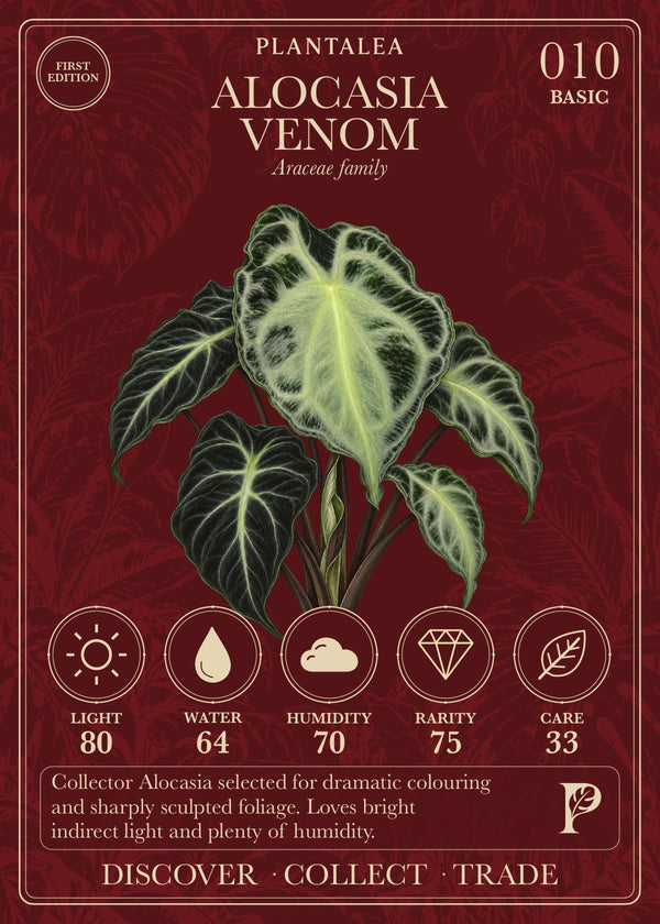 View card 010