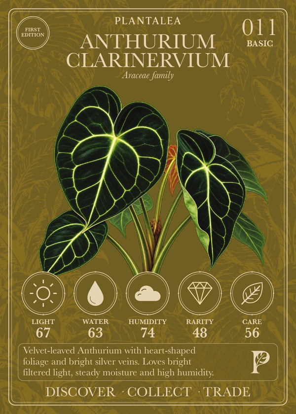 View card 011