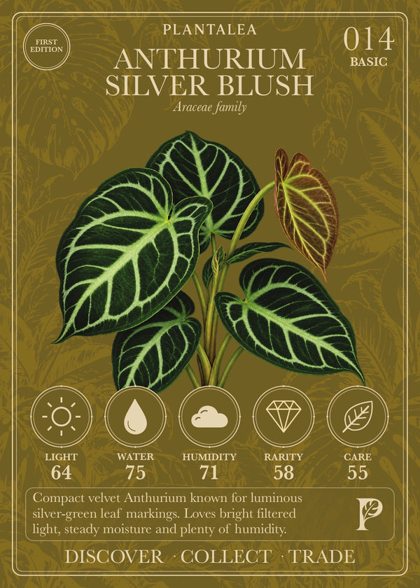 View card 014