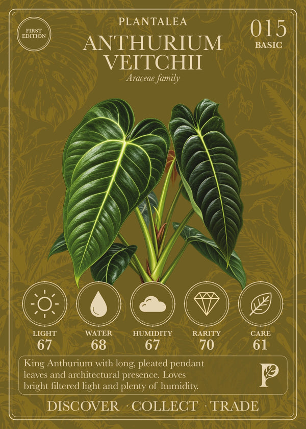 View card 015