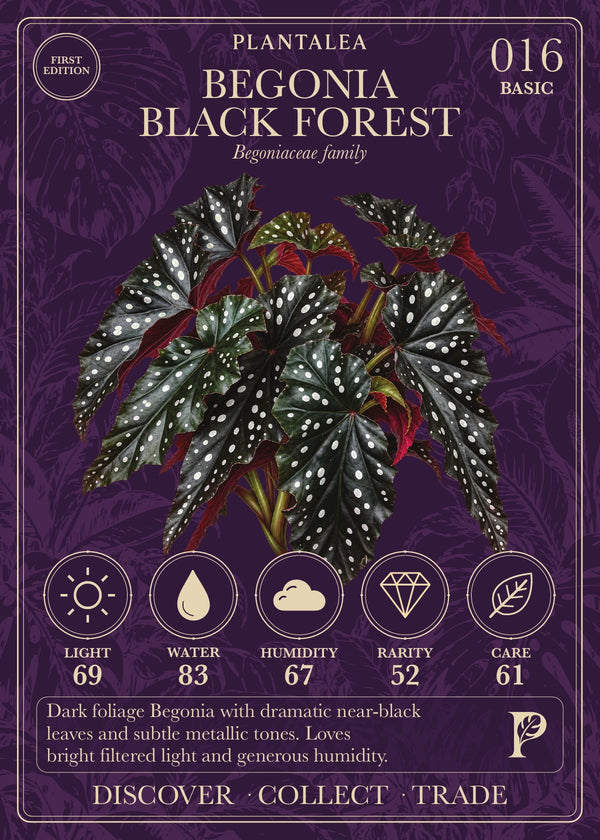 View card 016