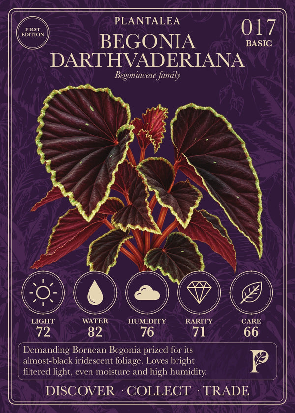 View card 017