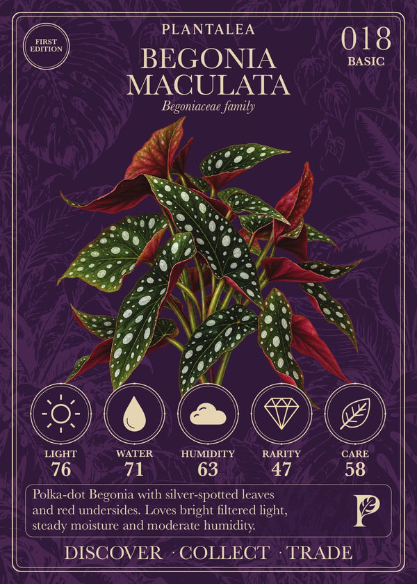 View card 018