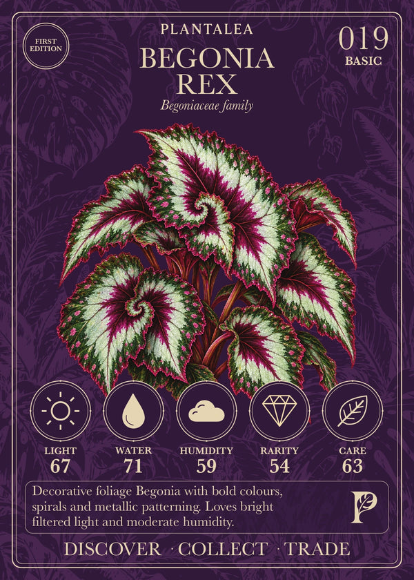 View card 019
