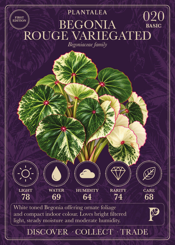 View card 020