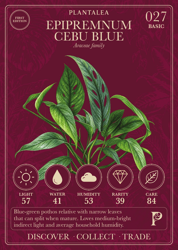 View card 027