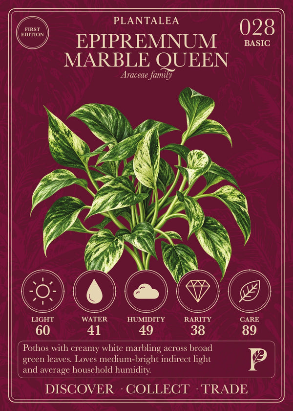 View card 028