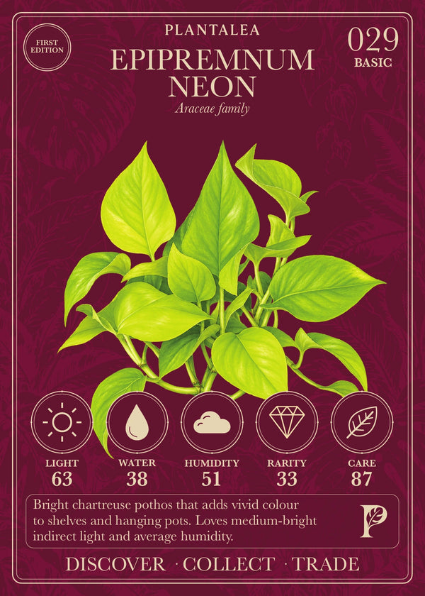 View card 029