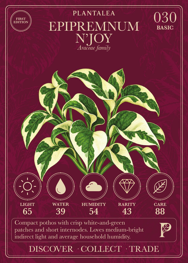 View card 030