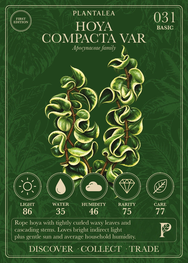 View card 031