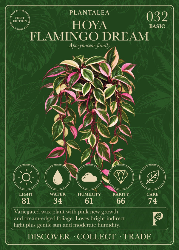 View card 032
