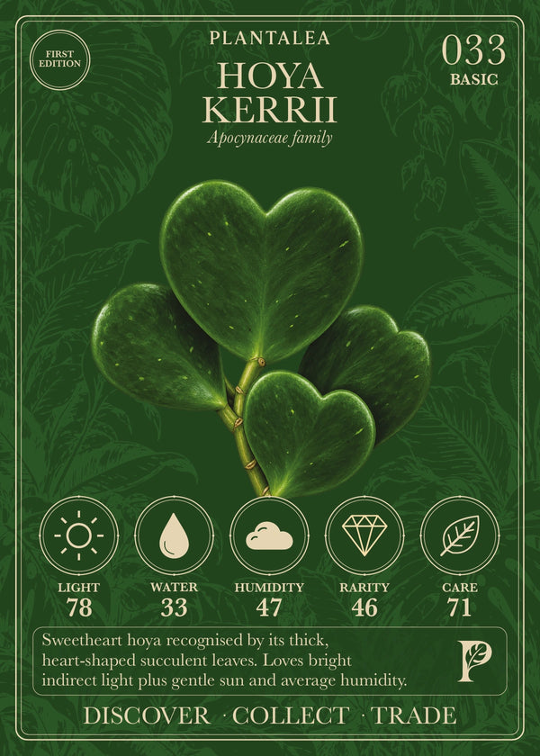 View card 033