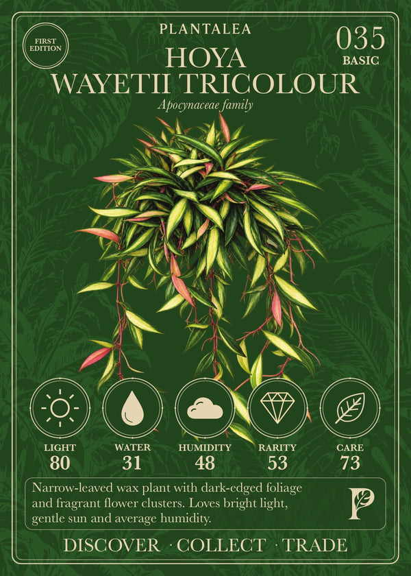 View card 035