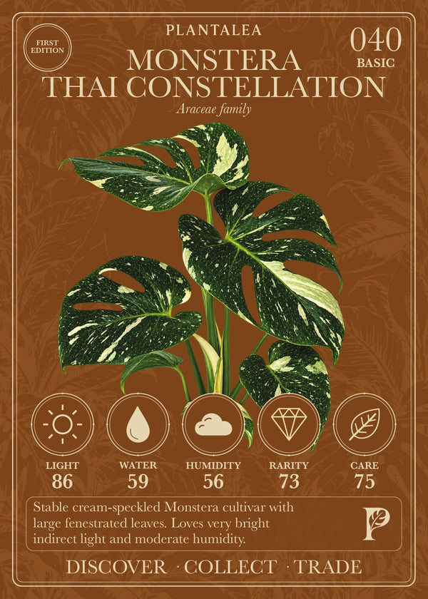 View card 040