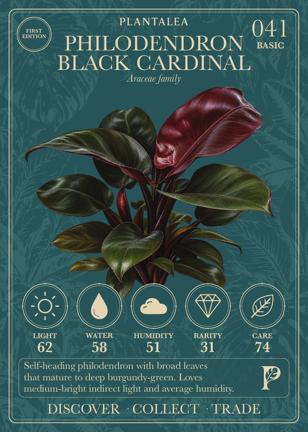 View card 041