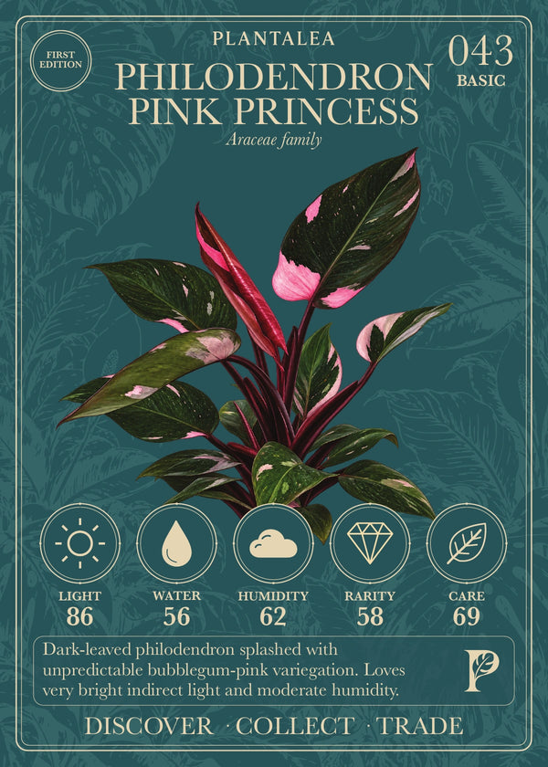 View card 043