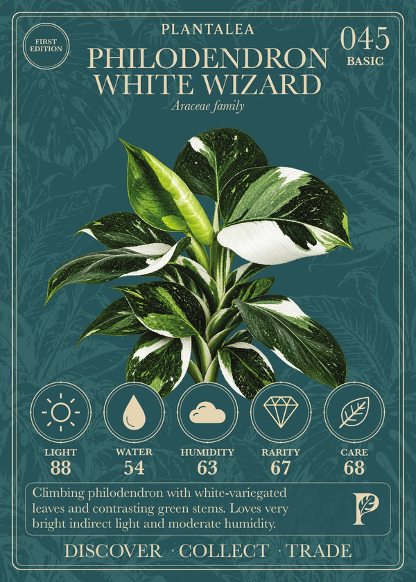 View card 045