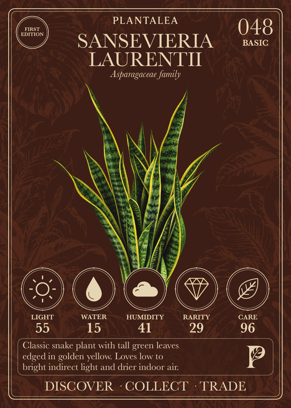 View card 048