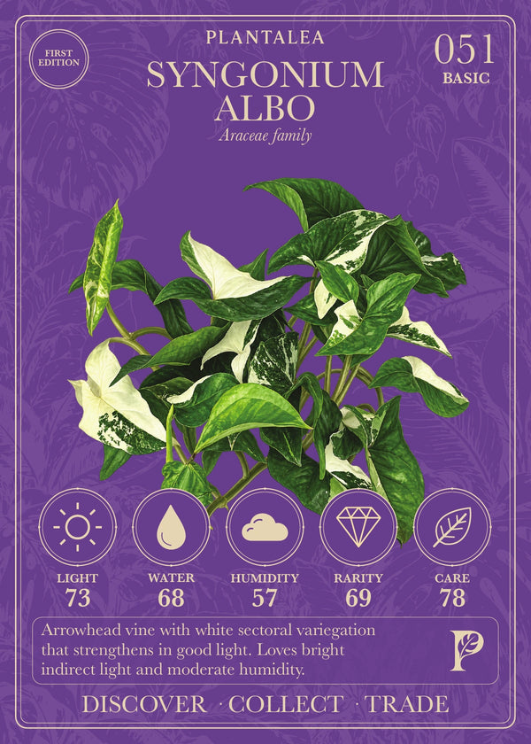 View card 051
