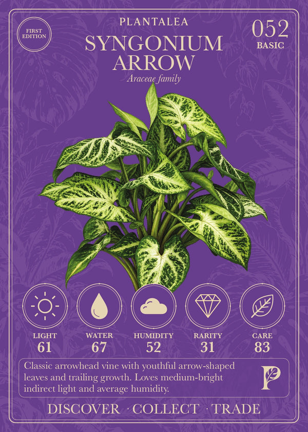 View card 052