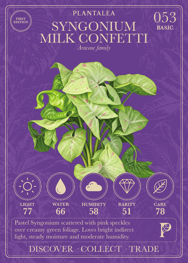 View card 053