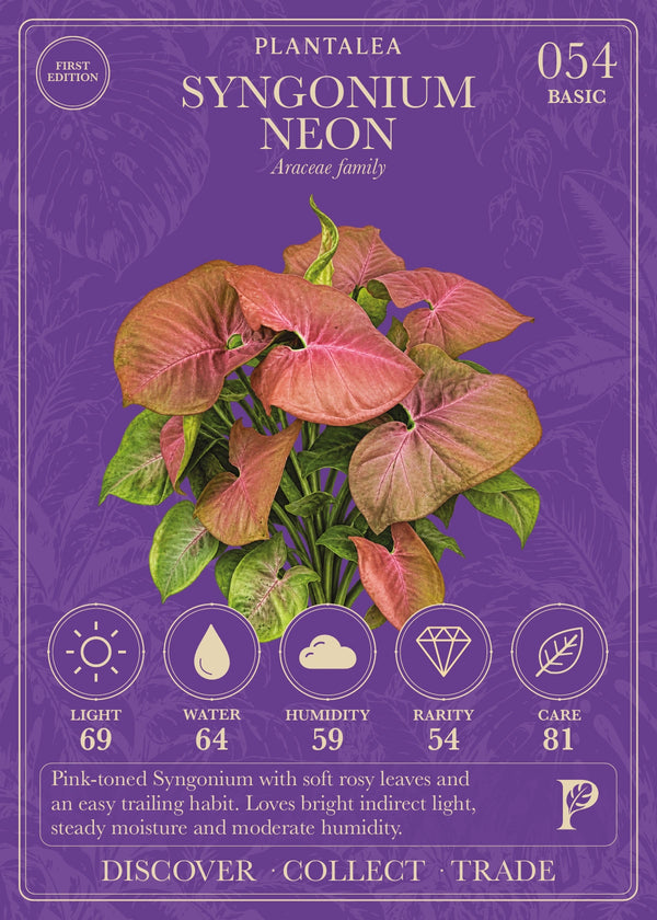 View card 054