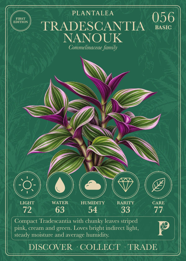 View card 056