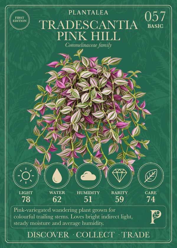 View card 057