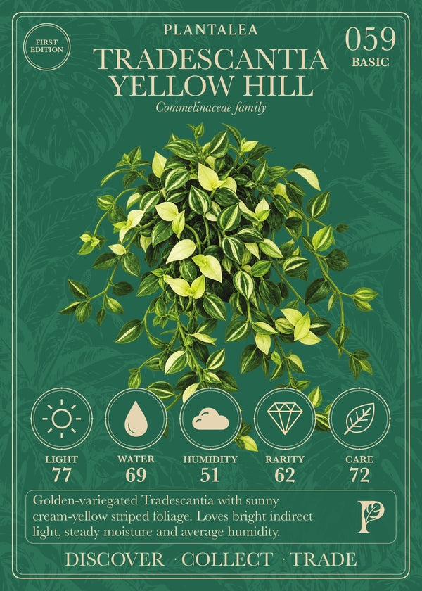 View card 059