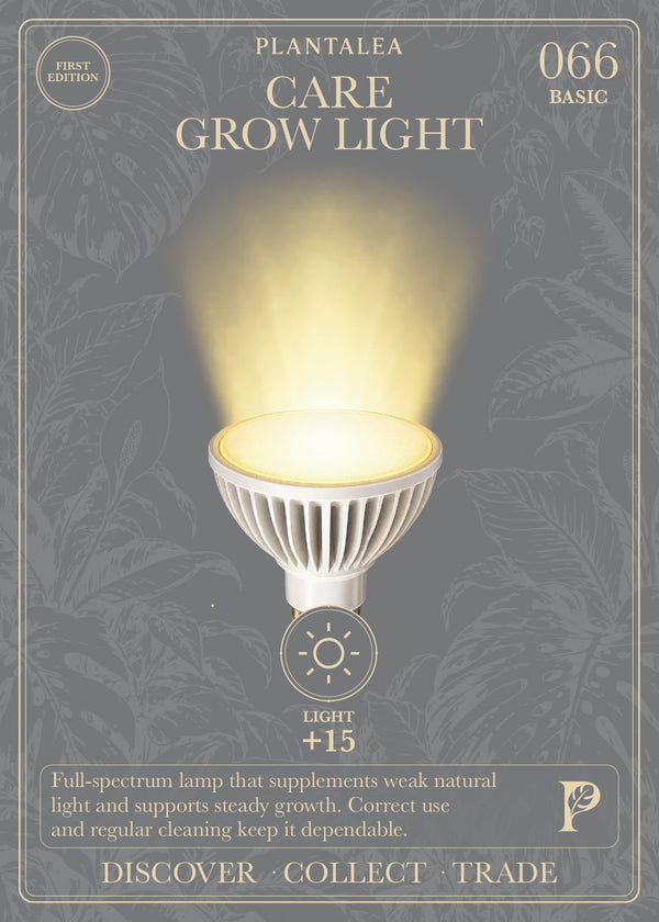 View card 066