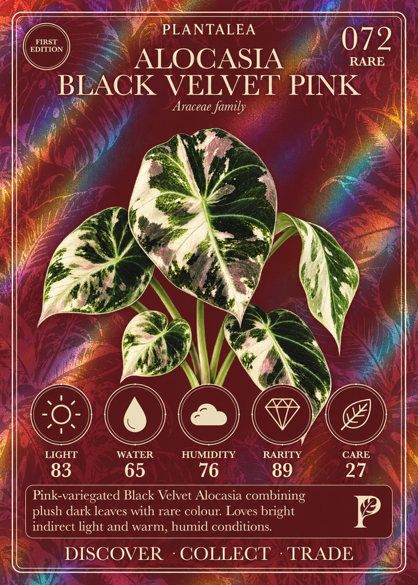 View card 072
