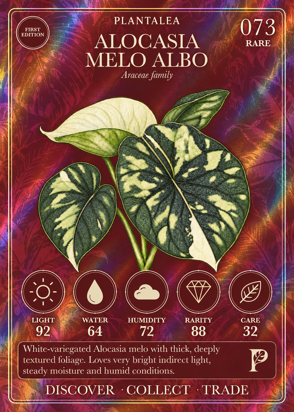 View card 073