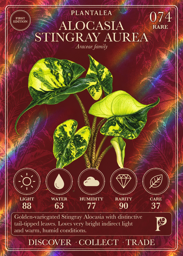 View card 074