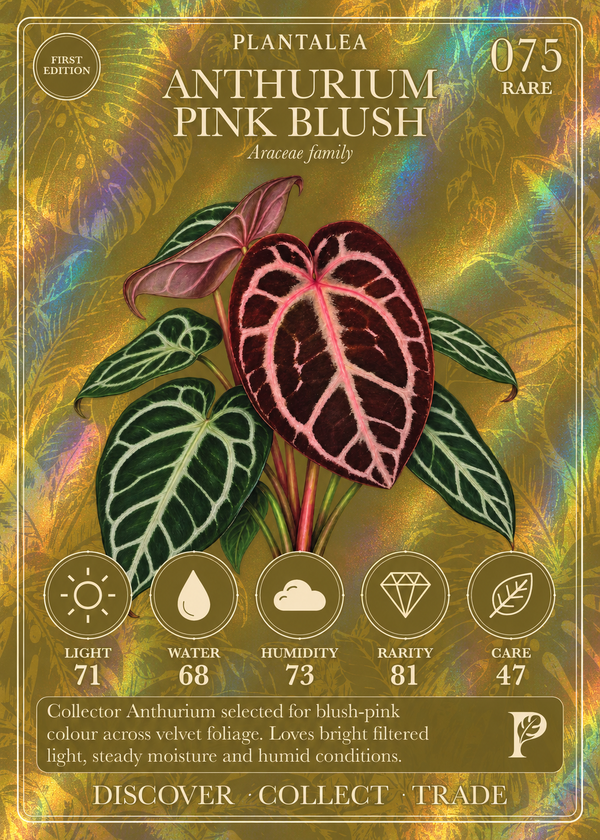 View card 075