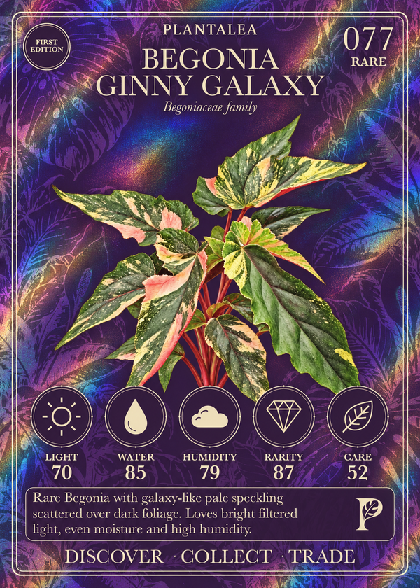 View card 077