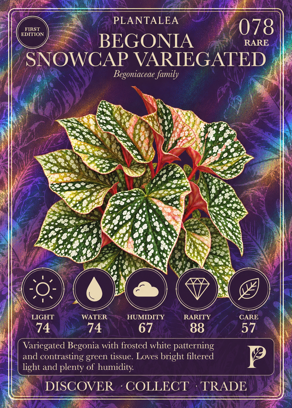 View card 078