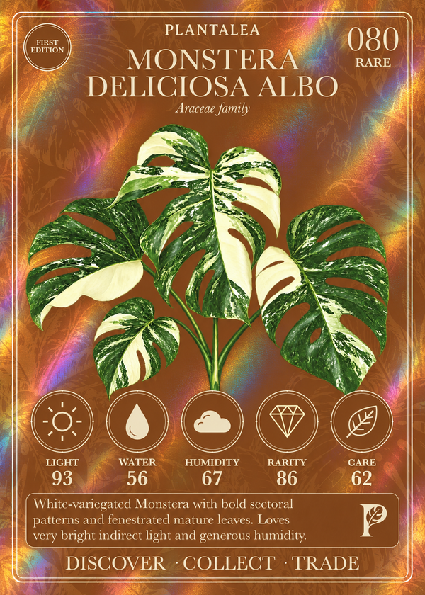 View card 080