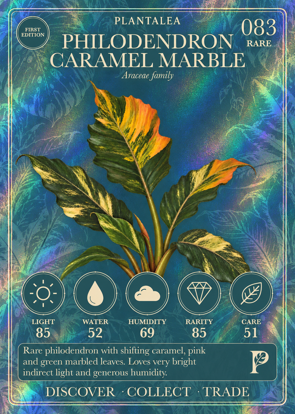View card 083