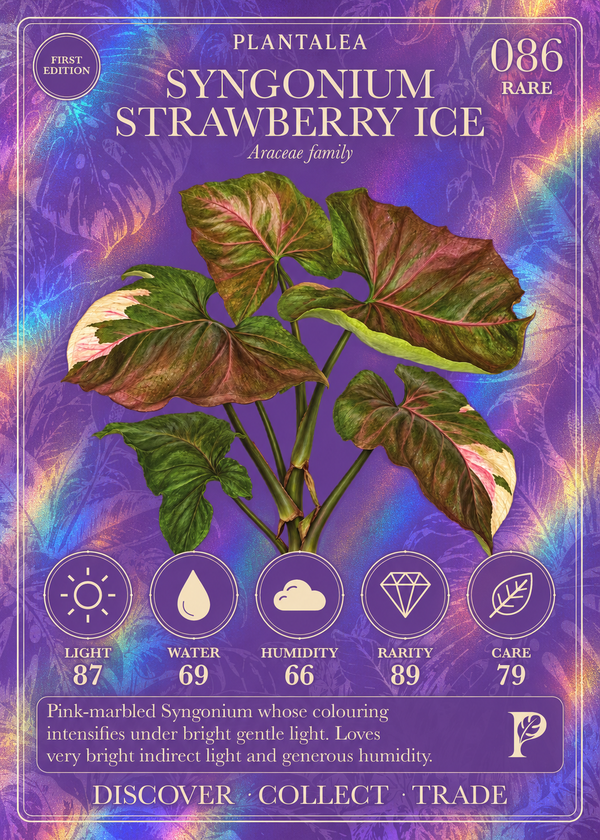 View card 086